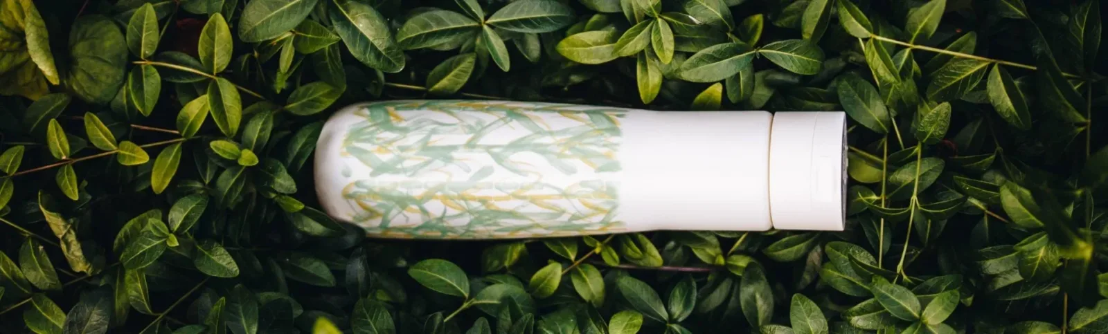 Podstawowe Pojęcia Związane Z Ochroną Środowiska, Które Warto Znać